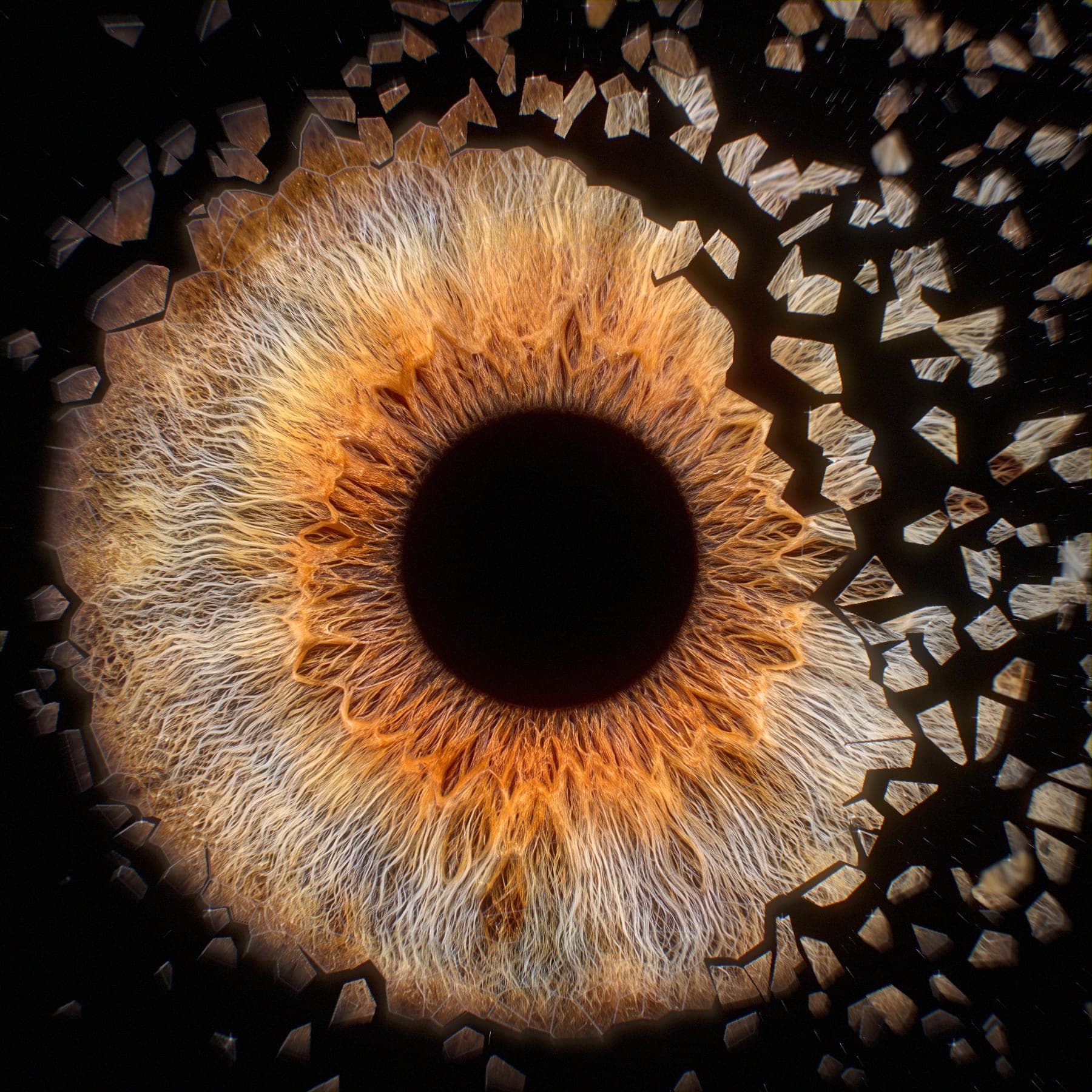 An iris, its outer ring breaking away in shards of glass